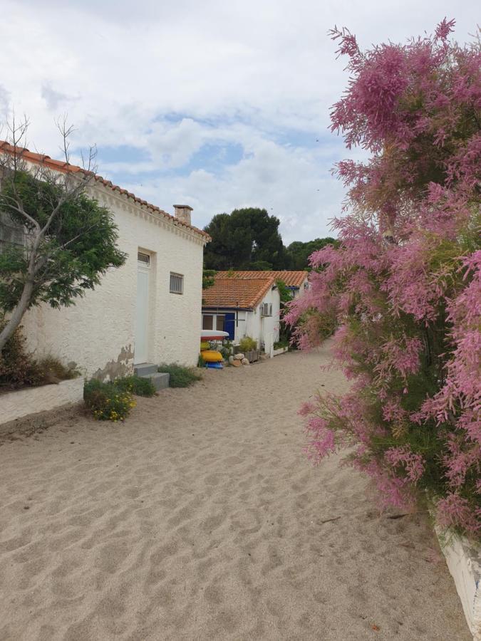 Villa Mas Del Roumany à Port Vendres Extérieur photo